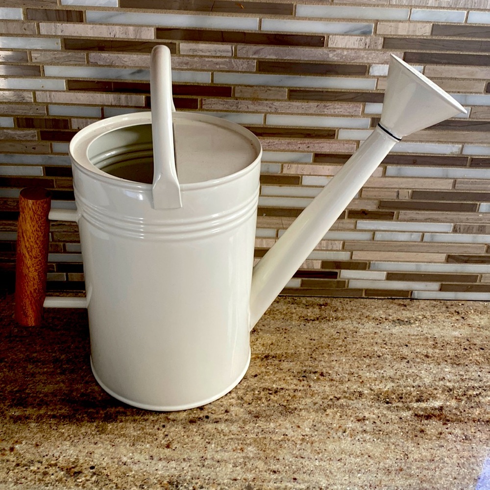 Steel Watering can with wood handle
